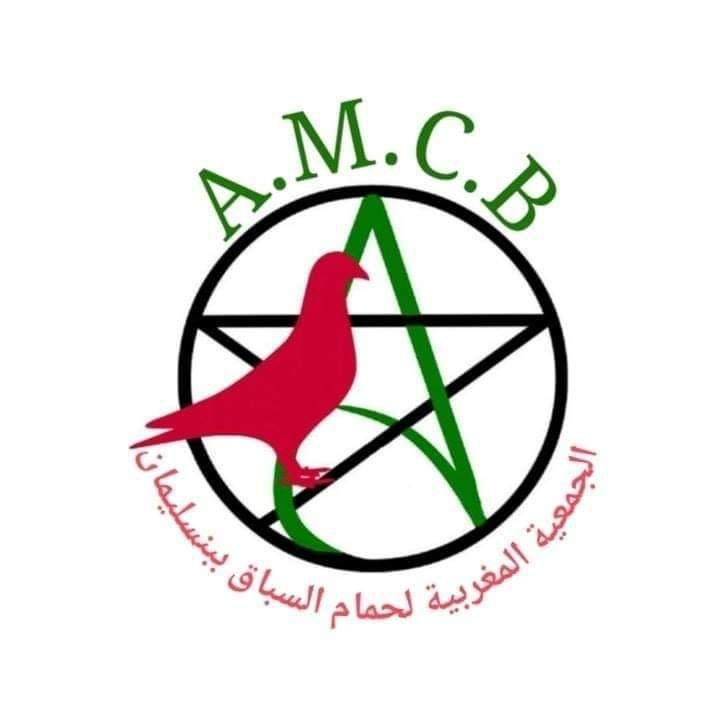 Association marocaine des pigeons de course benslimane