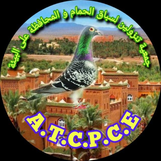 جمعية تنزولين لسباق الحمام والمحافظة على البيئة
