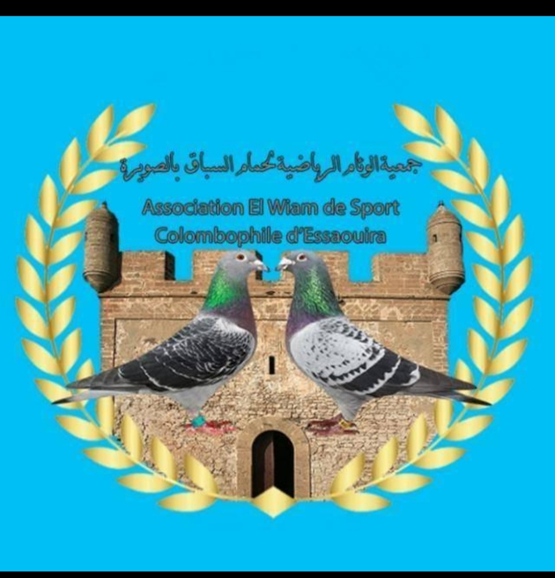 association wiam de pigeons de cours