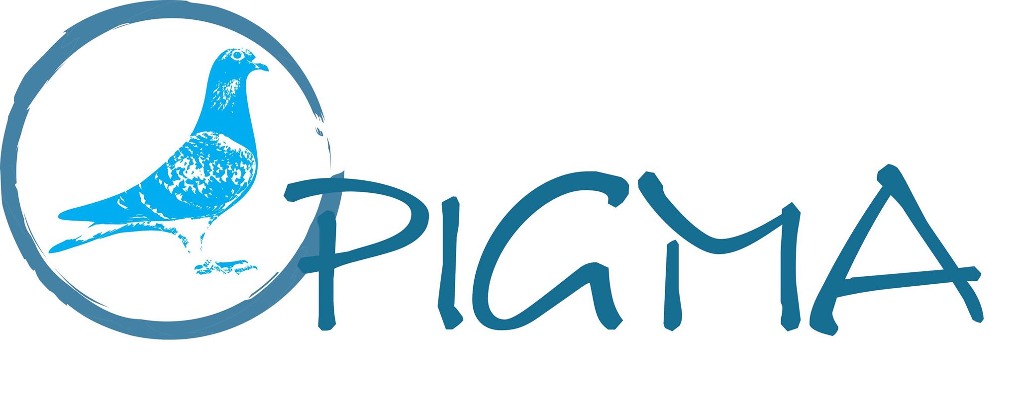 PIGMA Logo