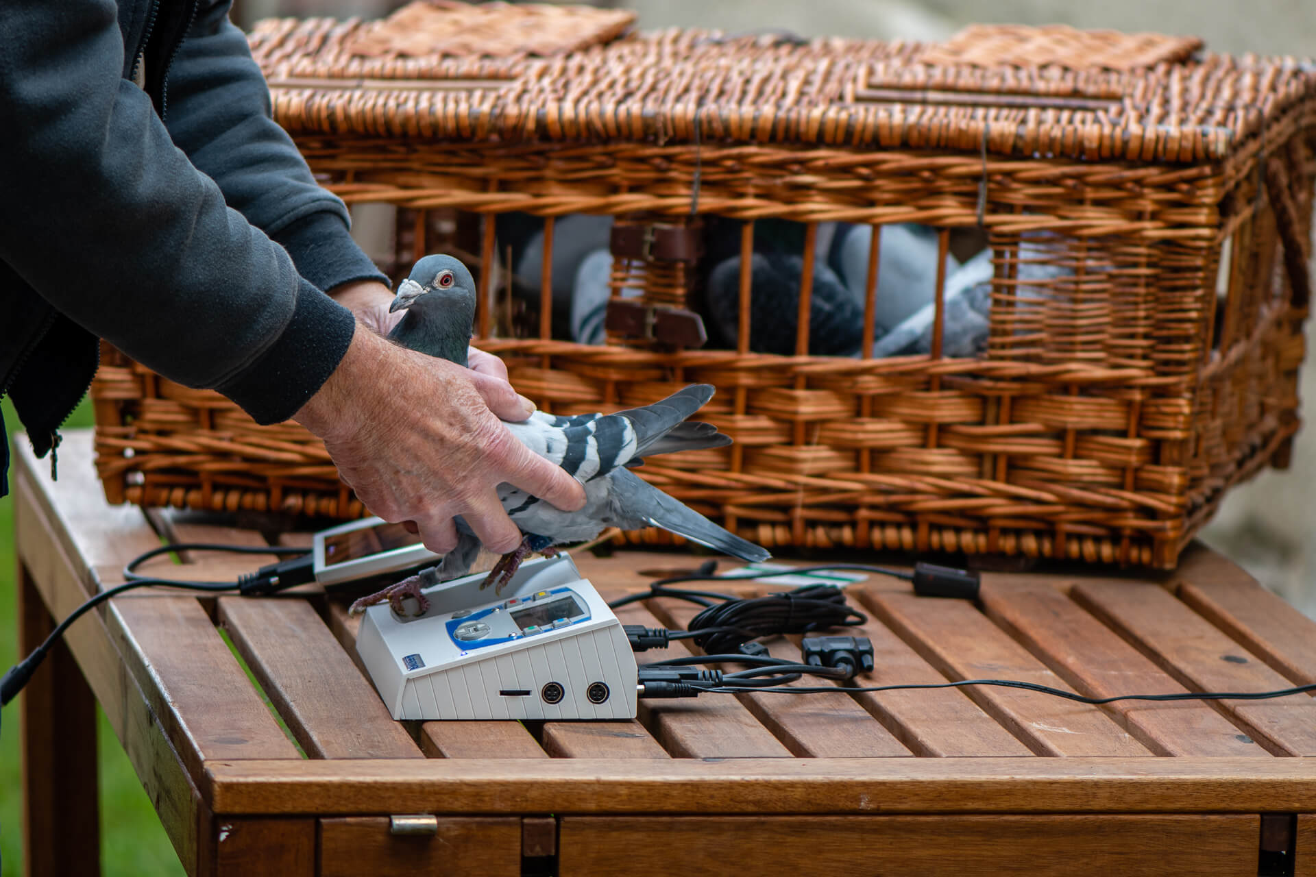 Second slide