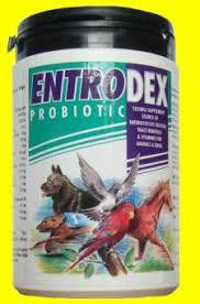 ENTRODEX 200 gr